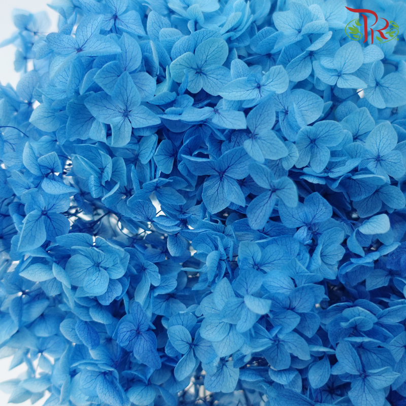 Preserved Hydrangea - Blue 2 (Per Stem)-Blue 2-China-prflorist.com.my