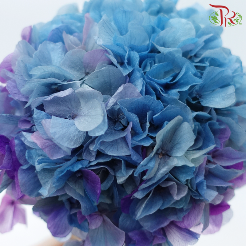 Preserved Hydrangea - Blue Purple (Per Stem)-Blue Purple-China-prflorist.com.my