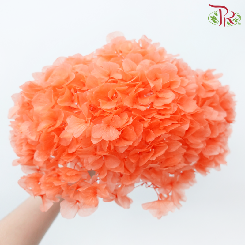 Preserved Hydrangea - Dark Orange (Per Stem)-Orange-China-prflorist.com.my
