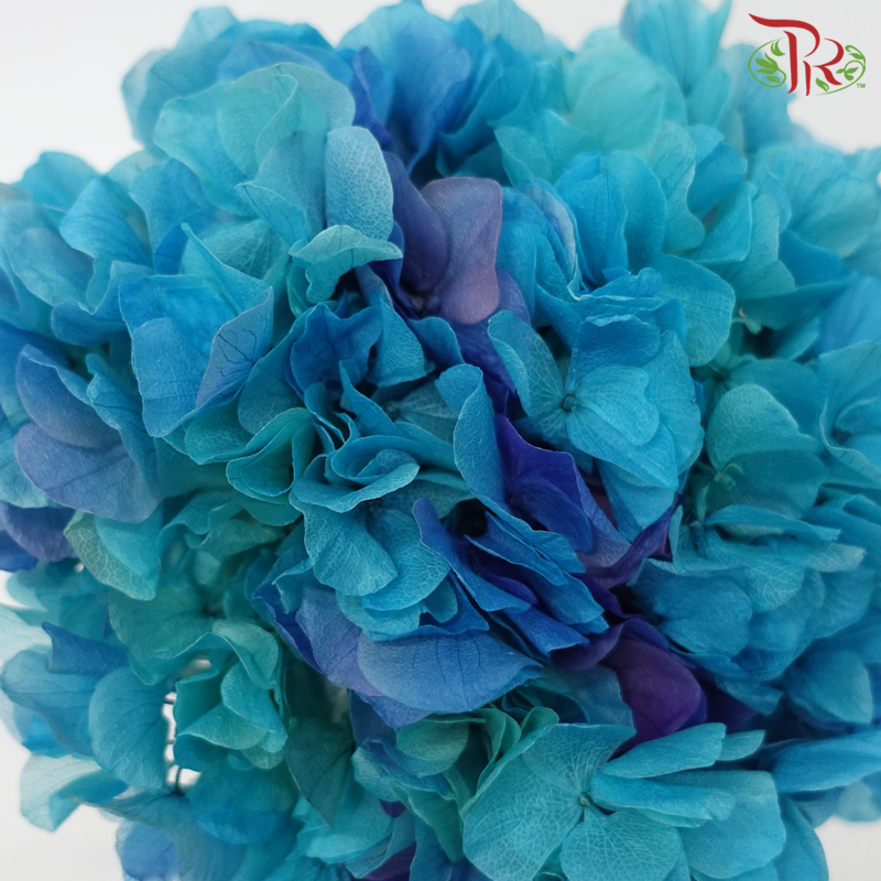 Preserved Hydrangea - Double Tone Blue (Per Stem)-Blue-China-prflorist.com.my