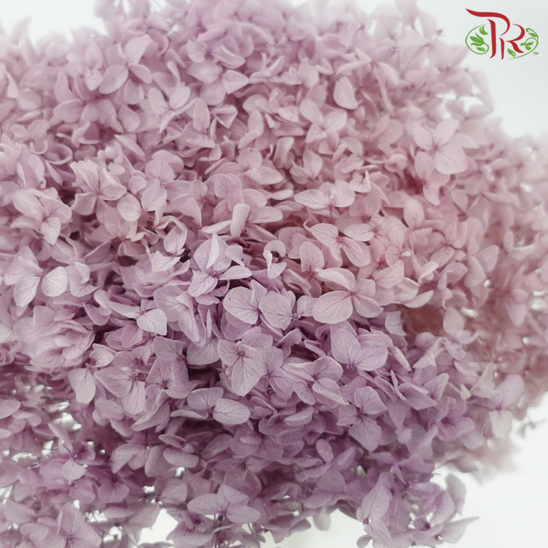 Preserved Hydrangea - Lilac Dream (Per Stem)-Lilac-China-prflorist.com.my
