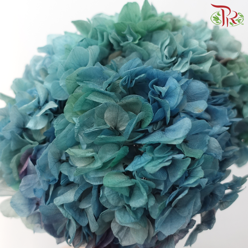 Preserved Hydrangea - Shades of Teal Blue (Per Stem)-Blue-China-prflorist.com.my