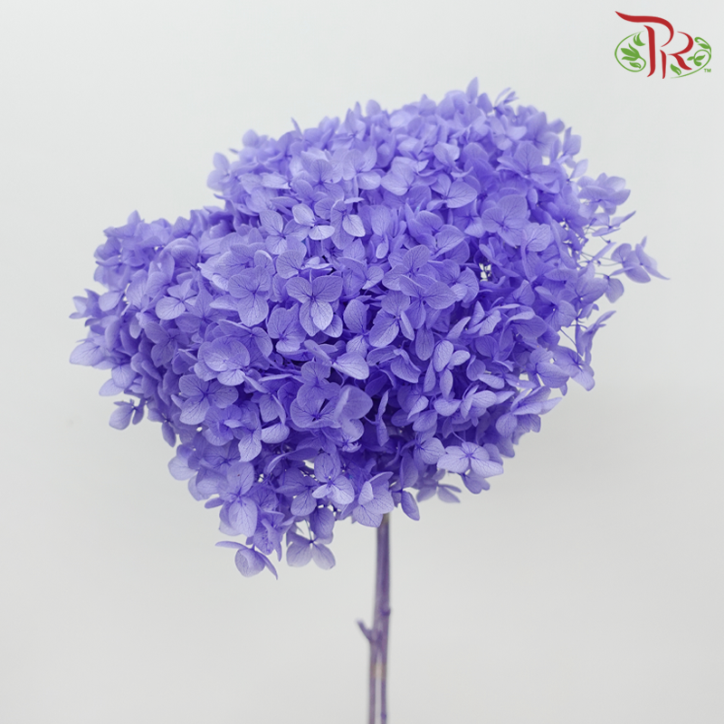 Preserved Hydrangea - Slate Purple (Per Stem)-Purple-China-prflorist.com.my