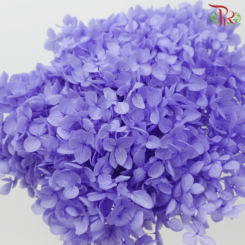 Preserved Hydrangea - Slate Purple (Per Stem)-Purple-China-prflorist.com.my