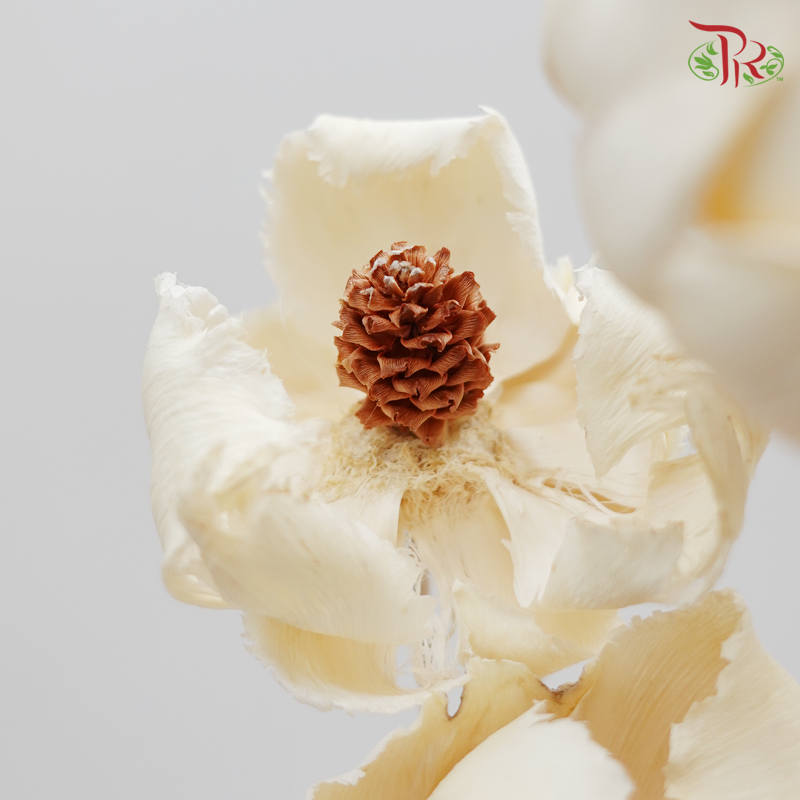 Preserved Palm Flower- Bleached 3 Stems (4051-0-011)-Japan-prflorist.com.my