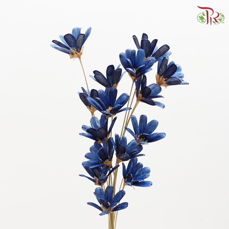 Preserved Petite Flower - Dark Blue (3214-0-600)-Blue-Japan-prflorist.com.my