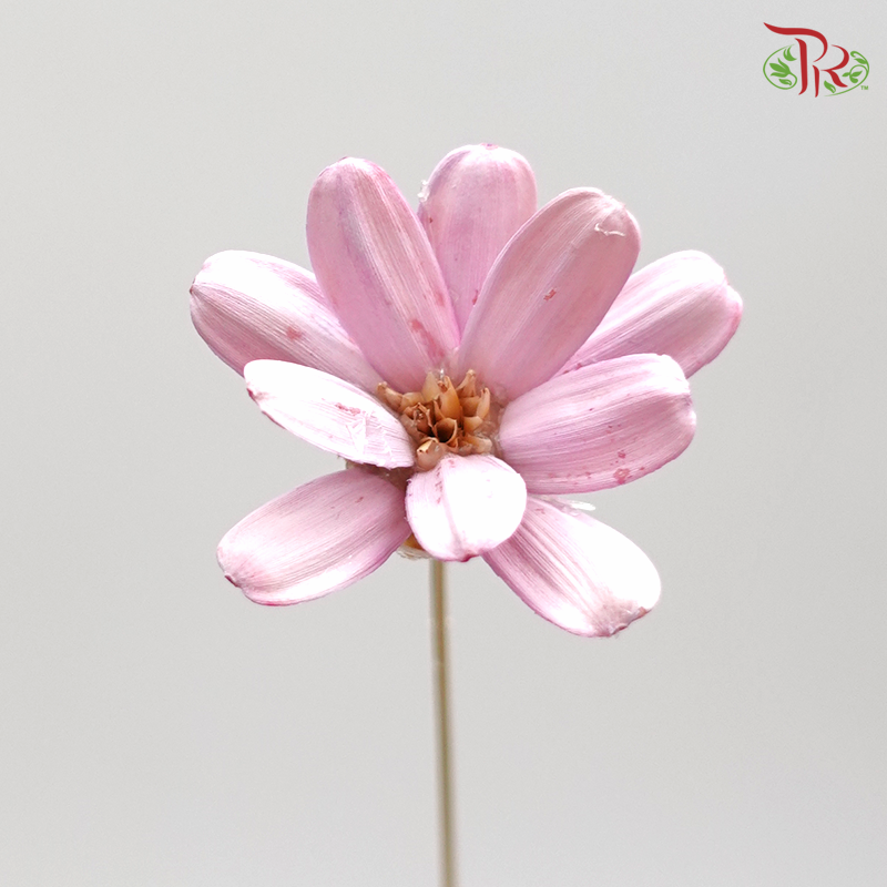 Preserved Petite Flower - Purple (3214-0-410)-Purple-Japan-prflorist.com.my