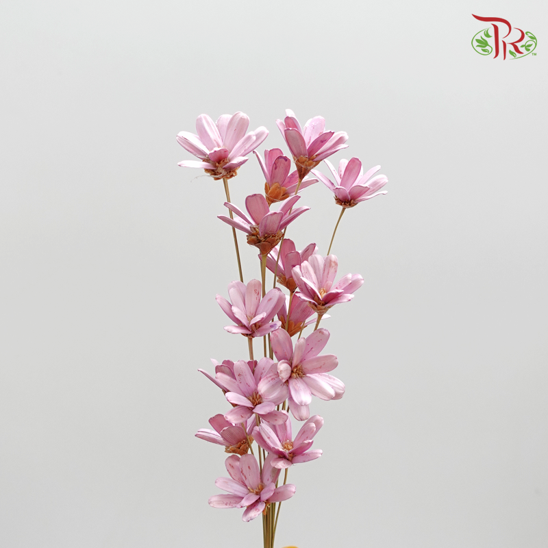 Preserved Petite Flower - Purple (3214-0-410)-Purple-Japan-prflorist.com.my