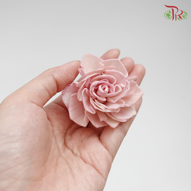 Preserved Sola Dahlia Head - Pink (9 pcs) (3271-0-110)-Pink-Japan-prflorist.com.my