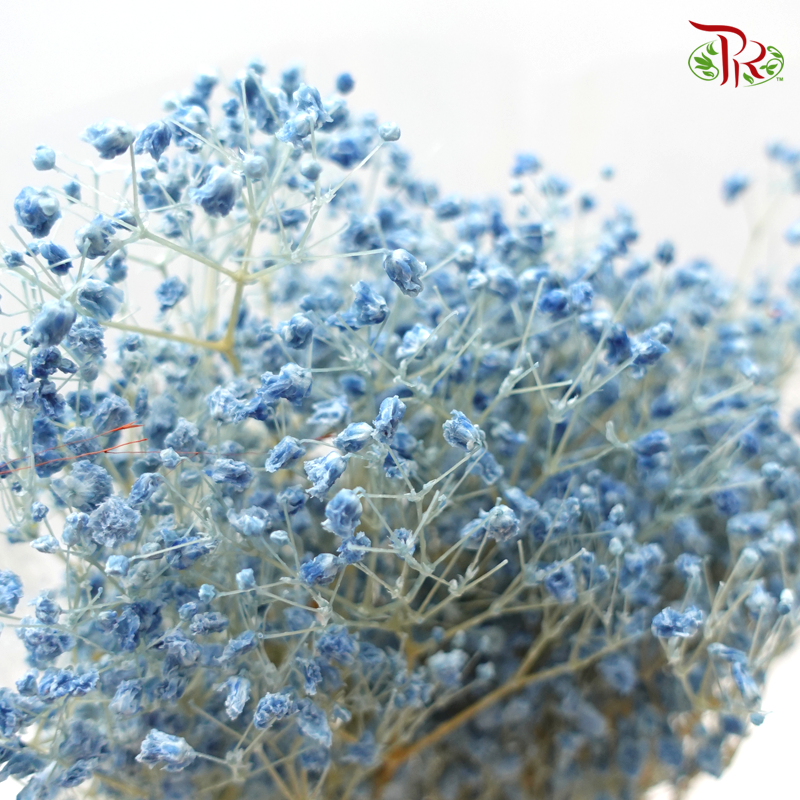 Preserved Baby's Breath- Blue (Per Bunch) - Pudu Ria Florist