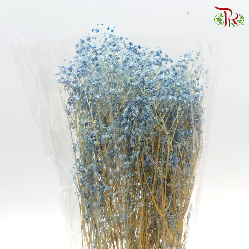 Preserved Baby's Breath- Blue (Per Bunch) - Pudu Ria Florist