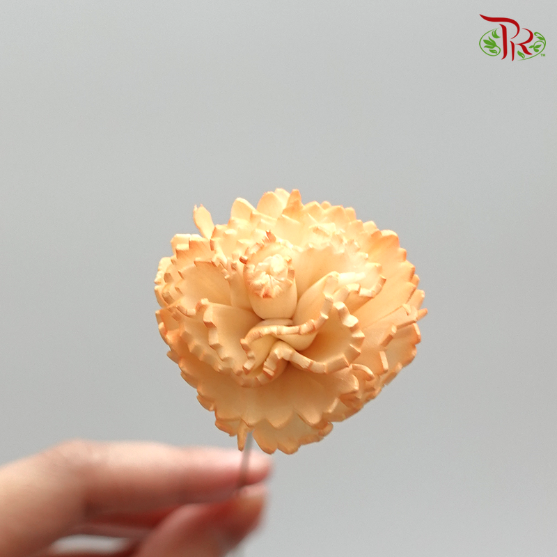 Preserved Sola Chiffon Carnation Small - Orange (3276-4-353) - Pudu Ria Florist