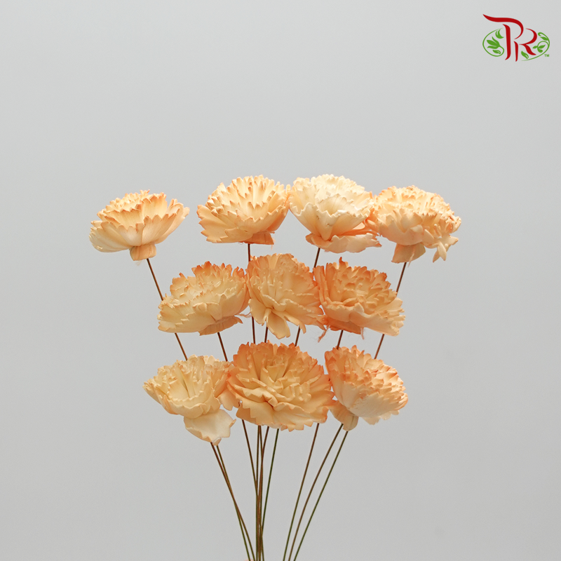 Preserved Sola Chiffon Carnation Small - Orange (3276-4-353) - Pudu Ria Florist