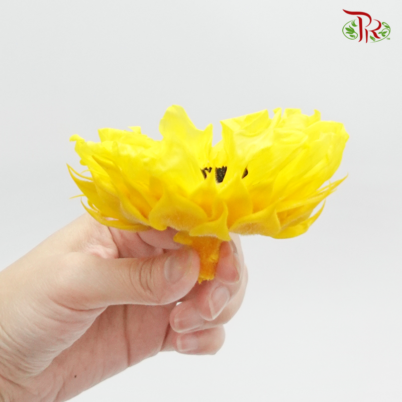 Preserved Sunflower - Inner Black (Per Bloom) - Pudu Ria Florist