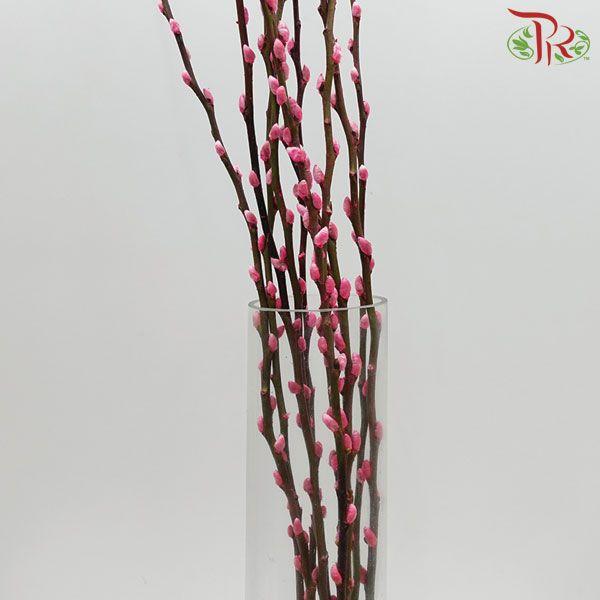 Pussy Willow Single (6FT) - Pink (10 Stems)-Pink-China-prflorist.com.my