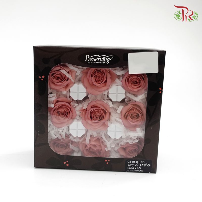 Rose Izumi Hanairo Preservative - Dusty Rose ( 0349-0-145 )-Dusty Pink-Japan-prflorist.com.my