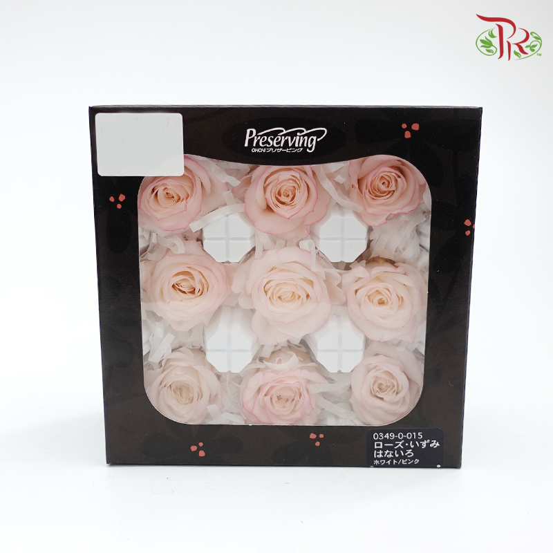 Rose Izumi Hanairo Preservative - Light pink ( 0349-0-015 )-Pink-Japan-prflorist.com.my