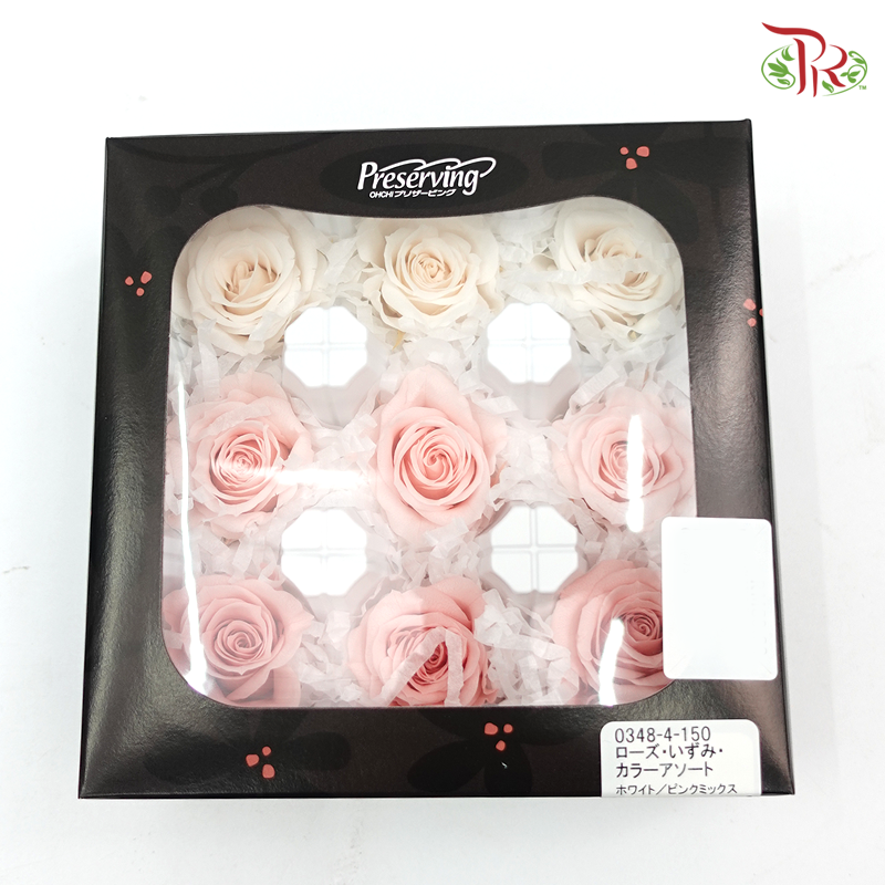 Rose Izumi Preservative ( 0348-4-150 )-Japan-prflorist.com.my