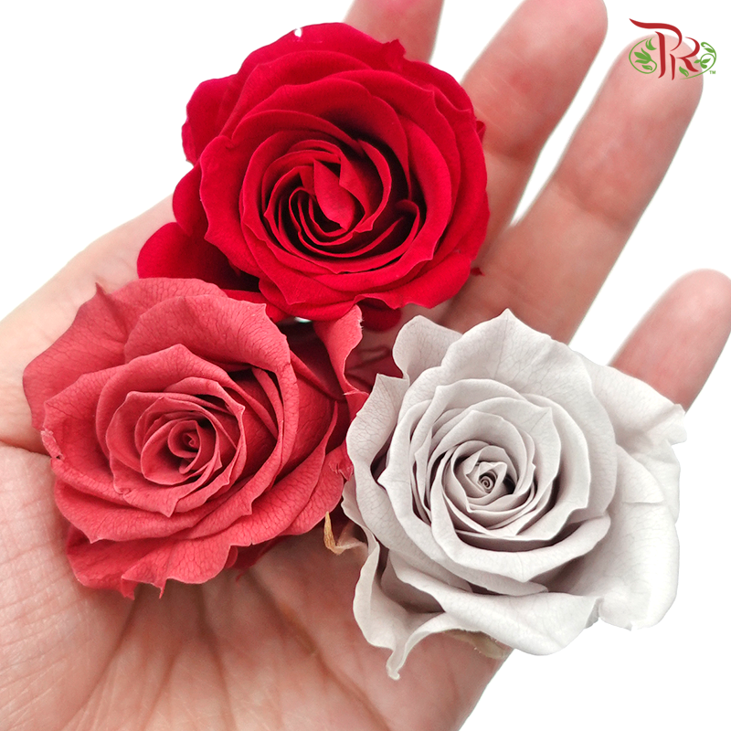 Rose Izumi Preservative ( 0348-4-180 )-Japan-prflorist.com.my