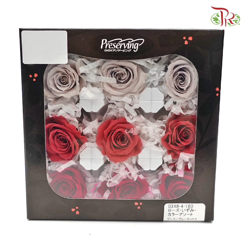 Rose Izumi Preservative ( 0348-4-180 )-Japan-prflorist.com.my