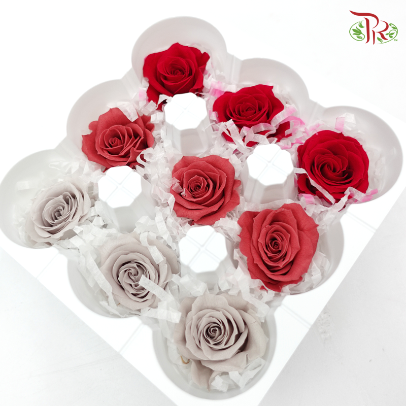 Rose Izumi Preservative ( 0348-4-180 )-Japan-prflorist.com.my