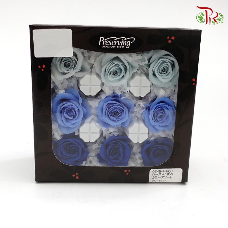 Rose Izumi Preservative - Mix Blue ( 0348-4-660 )-Blue-Japan-prflorist.com.my