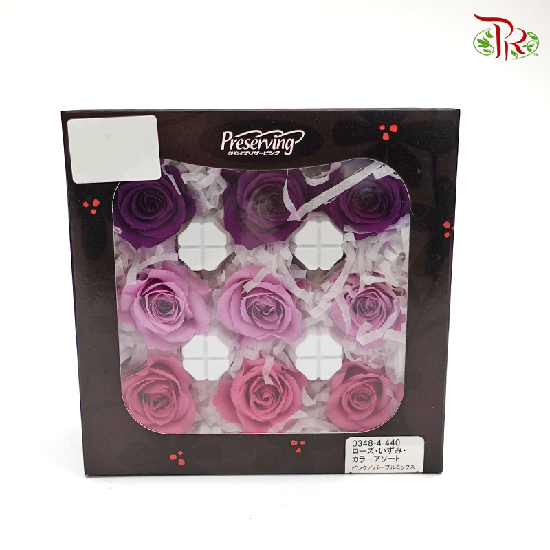 Rose Izumi Preservative - Mix Purple ( 0348-4-440 )-Purple-Japan-prflorist.com.my