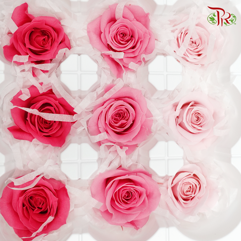 Rose Izumi Preservative - Mix Red ( 0348-4-110 )-Red-Japan-prflorist.com.my