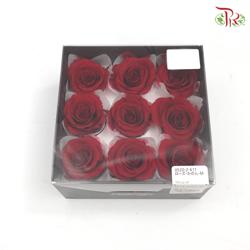 Rose Kanon M Preservative - Bright Red ( 0520-2-471 )-Red-Japan-prflorist.com.my