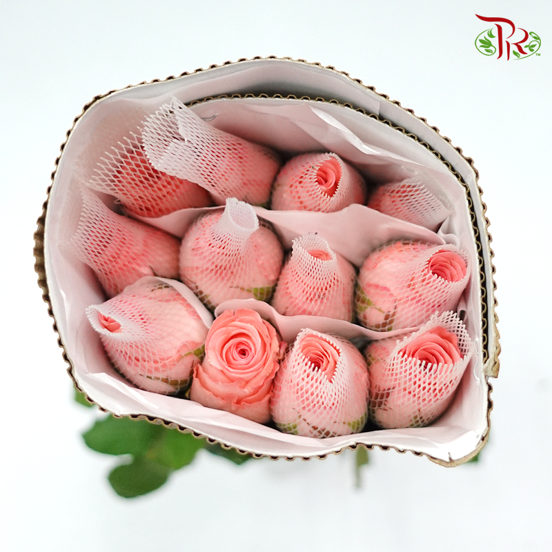 Rose Premium - Net Pink (19-20stems)-Pink-India-prflorist.com.my