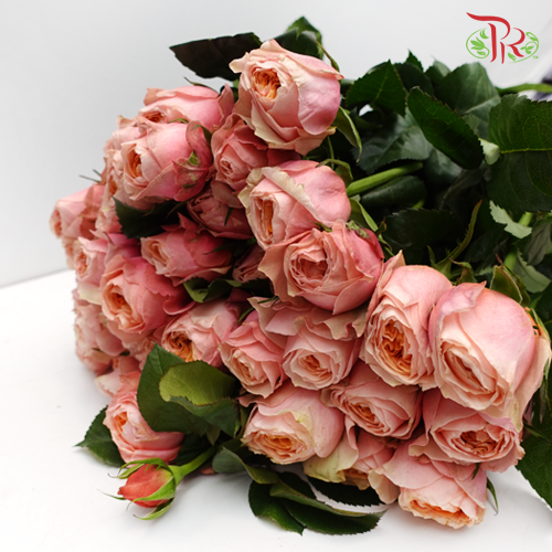 Rose Spray Butterfly - Pink (10 Stems)-Pink-China-prflorist.com.my