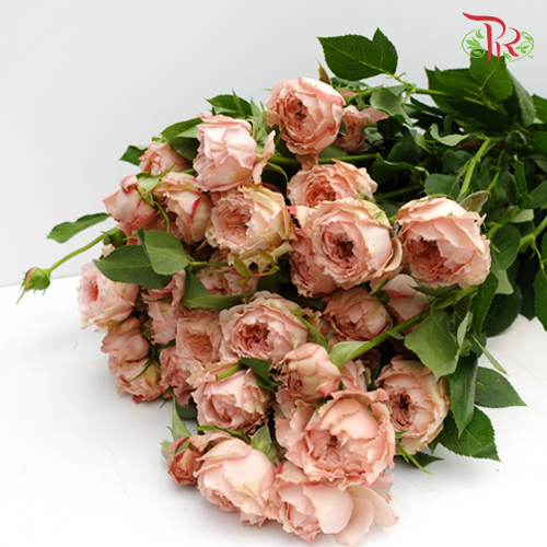 Rose Spray Butterfly - Pink (10 Stems)-Pink-China-prflorist.com.my