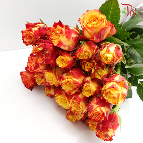 Rose Spray - Fire (10 Stems)-Red-China-prflorist.com.my