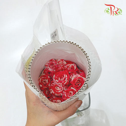 Rose Spray - Fireworks (5 Stems)-Pink-Vietnam-prflorist.com.my