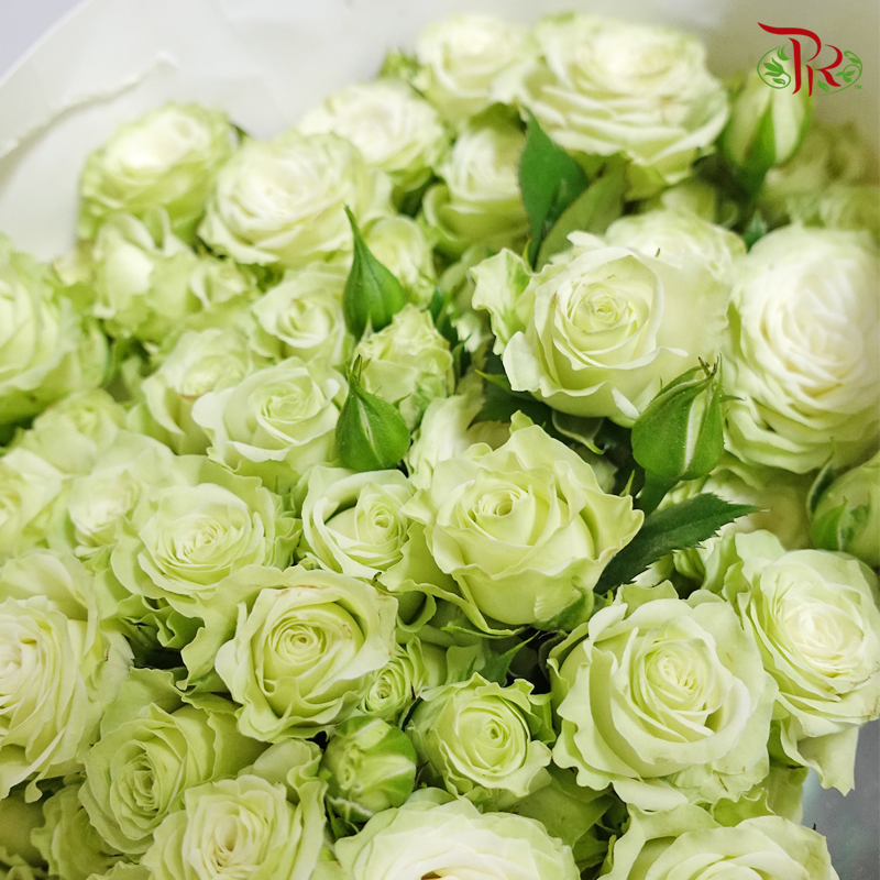 Rose Spray - Green (10 Stems)-Green-China-prflorist.com.my
