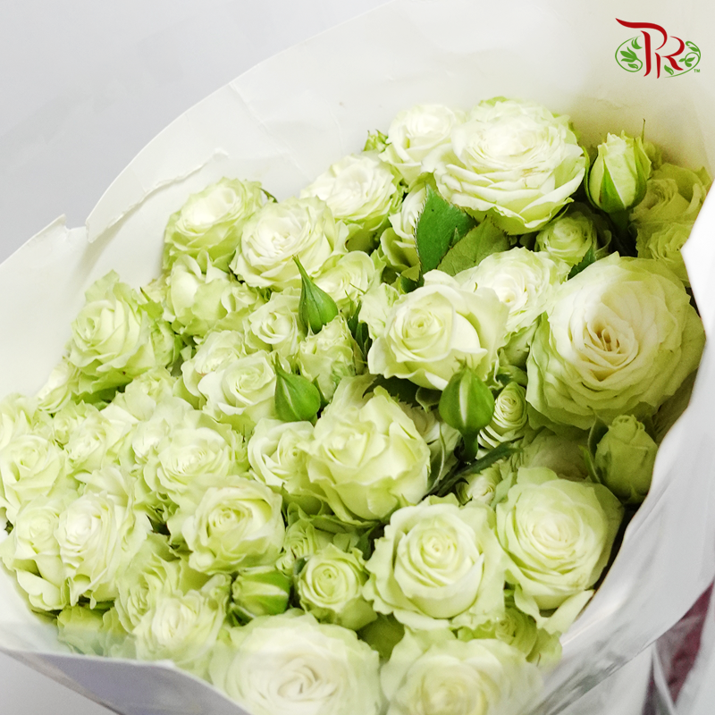 Rose Spray - Green (10 Stems)-Green-China-prflorist.com.my