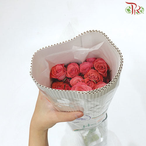 Rose Spray - Lucky Yoyo (5 Stems)-Pink-Vietnam-prflorist.com.my