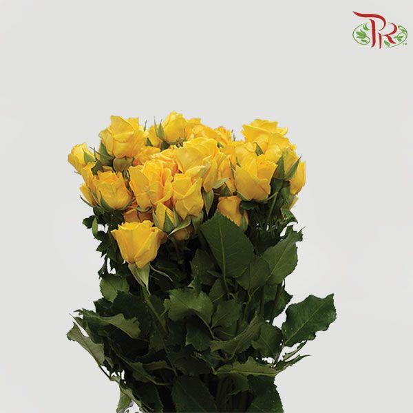 Rose Spray - Marisa (10 Stems)-Yellow-Kenya-prflorist.com.my