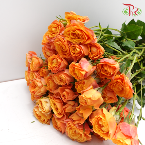 Rose Spray - Orange Barbie (10 Stems)-Orange-China-prflorist.com.my