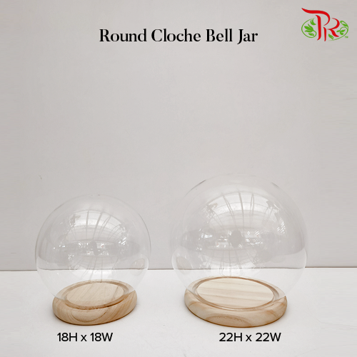 Round Cloche Bell Jar (M) H22 x D22cm-Pudu Ria Florist-prflorist.com.my