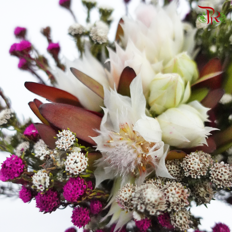 Safari Blushing Bride Bouquet - #1 (Per Bunch) **Random Choose Cone/Fillers-Pink-Africa-prflorist.com.my
