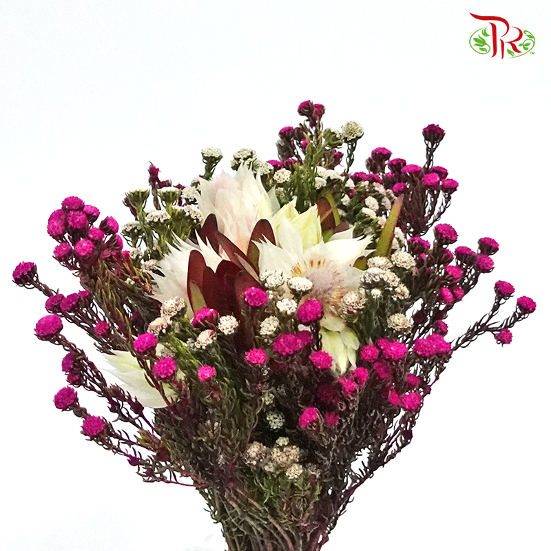 Safari Blushing Bride Bouquet - #1 (Per Bunch) **Random Choose Cone/Fillers-Pink-Africa-prflorist.com.my