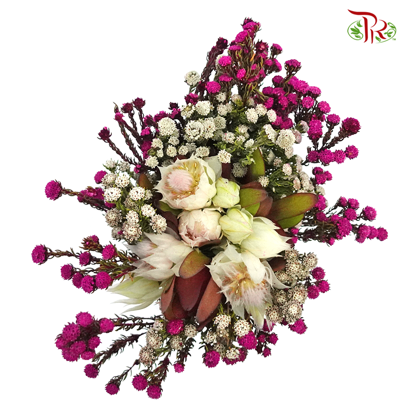 Safari Blushing Bride Bouquet - #1 (Per Bunch) **Random Choose Cone/Fillers-Pink-Africa-prflorist.com.my
