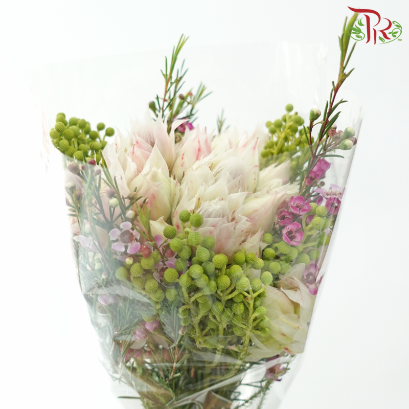 Safari Blushing Bride Bouquet - #6 (Per Bunch) **Random Choose Cone/Fillers-Africa-prflorist.com.my