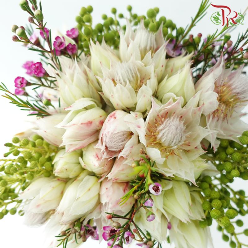Safari Blushing Bride Bouquet - #6 (Per Bunch) **Random Choose Cone/Fillers-Africa-prflorist.com.my