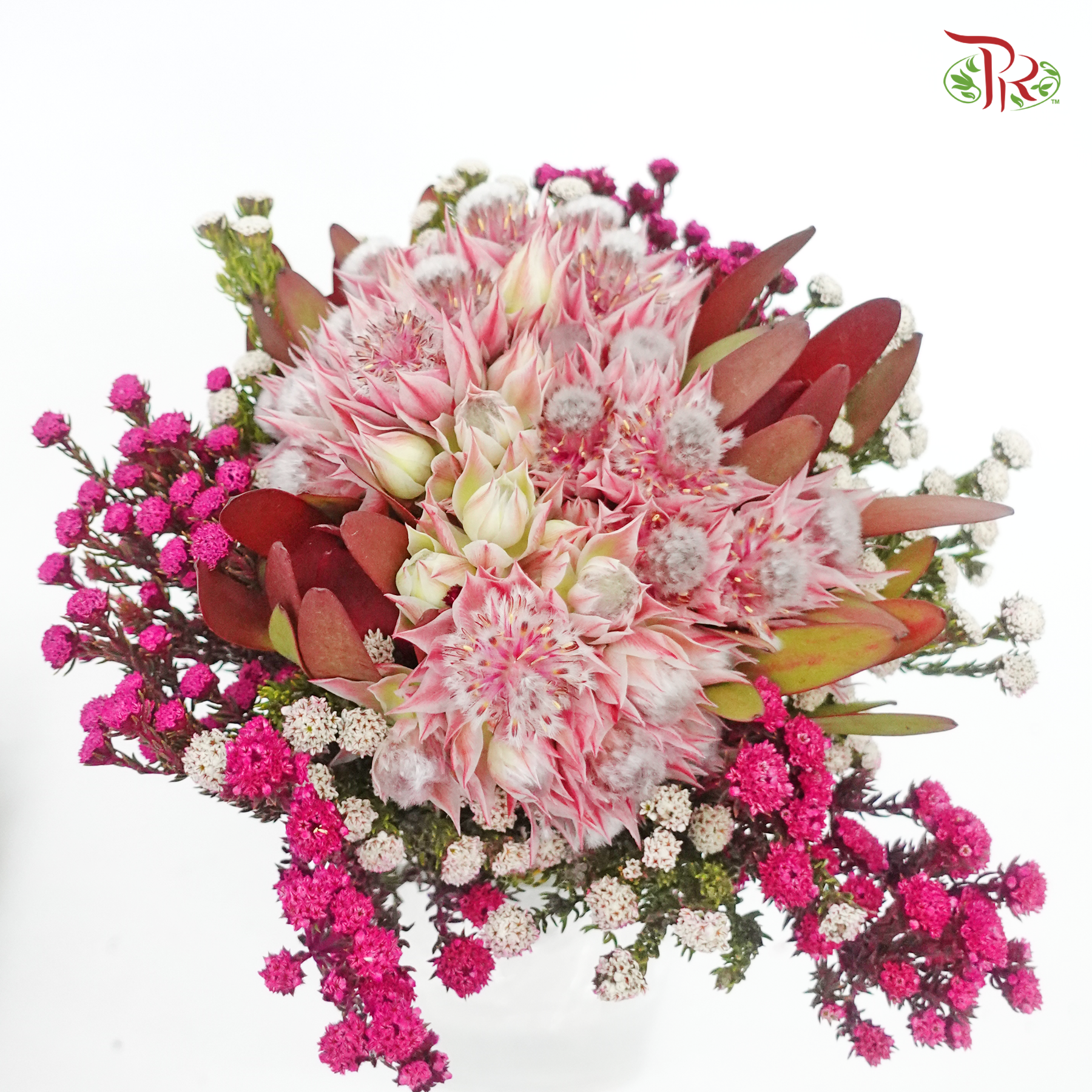 Safari Blushing Bride Bouquet - (Per Bunch)-Pink-Africa-prflorist.com.my
