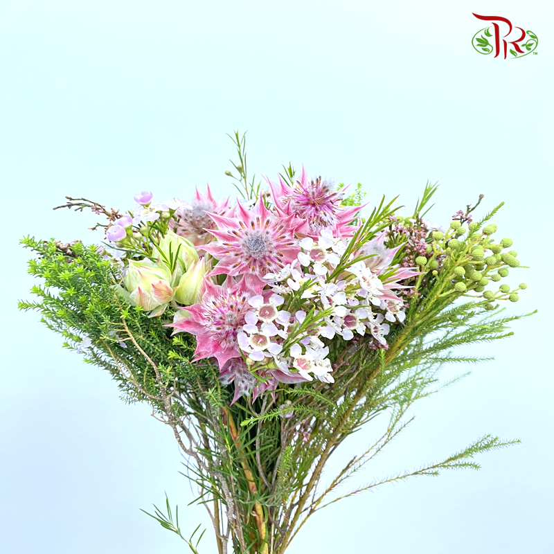 Safari Blushing Bride Bouquet - (Per Bunch)-Pink-Africa-prflorist.com.my