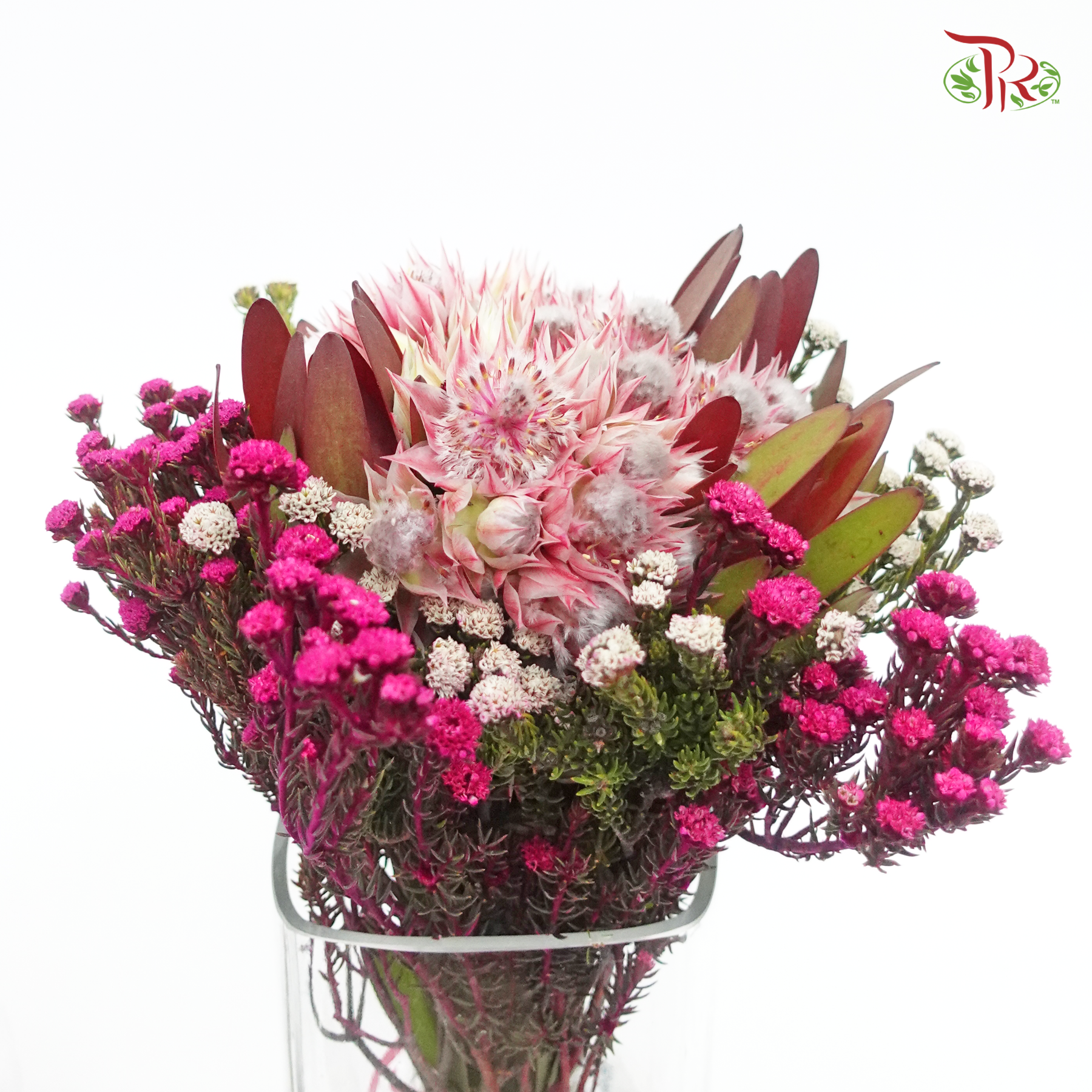 Safari Blushing Bride Bouquet - (Per Bunch)-Pink-Africa-prflorist.com.my