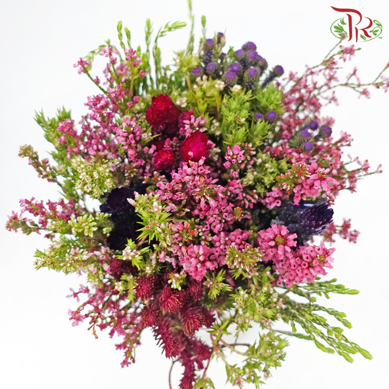 Safari Cape Cone Mix Bouquet - #16 (Per Bunch) **Random Choose Cone/Fillers-Africa-prflorist.com.my