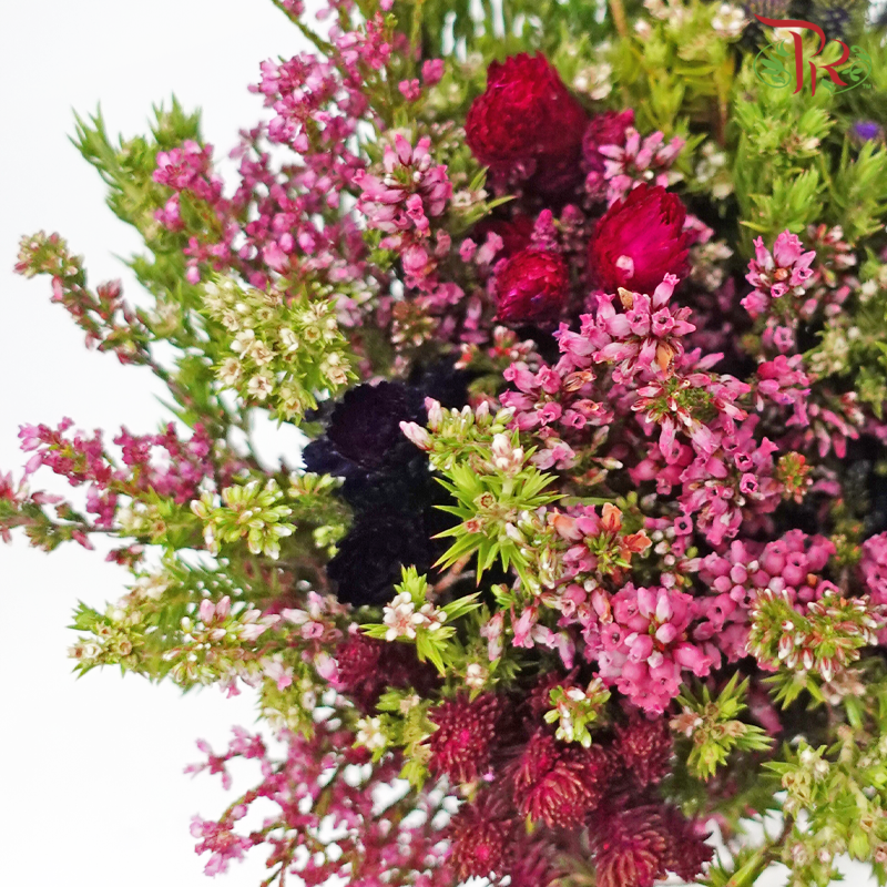 Safari Cape Cone Mix Bouquet - #16 (Per Bunch) **Random Choose Cone/Fillers-Africa-prflorist.com.my